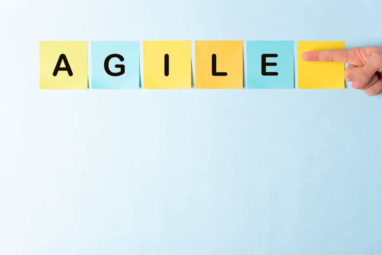 The Agile Researcher: A Survival Guide