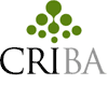 Criba Research LATAM & España logo