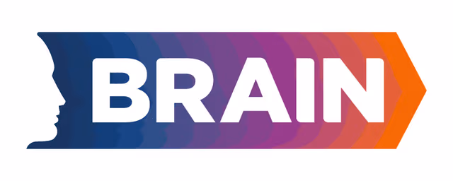 Brand Investigation, SA de CV logo