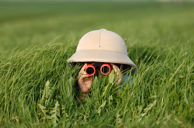 Tallgrass Market Research logo