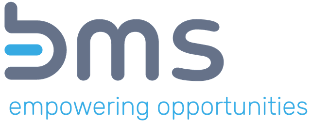 bms - marketing research + strategy GmbH logo
