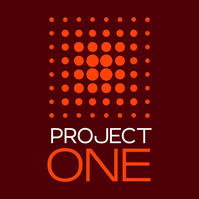 Project ONE International Market Research logo