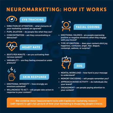 Flying Horse – gallery image 6