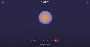 Nava Insights – gallery image 2