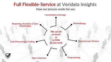 Veridata Insights, LLC – gallery image 3