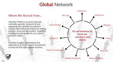 Veridata Insights, LLC – gallery image 1