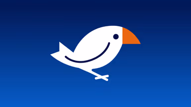 Finch – gallery image 5