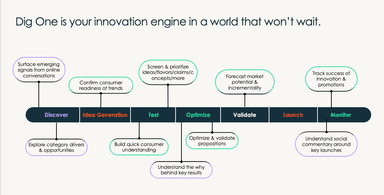Dig Insights – gallery image 5