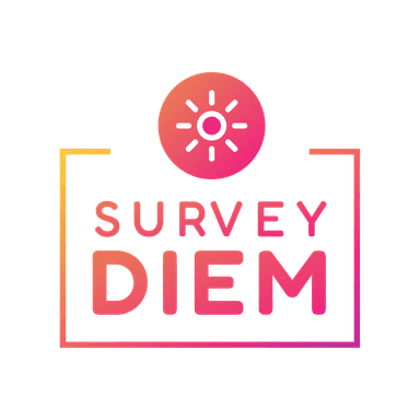 Ola Surveys – gallery image 2