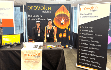 Provoke Insights – gallery image 5