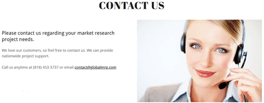 Global MRP (Global Market Research Professionals) – gallery image 2