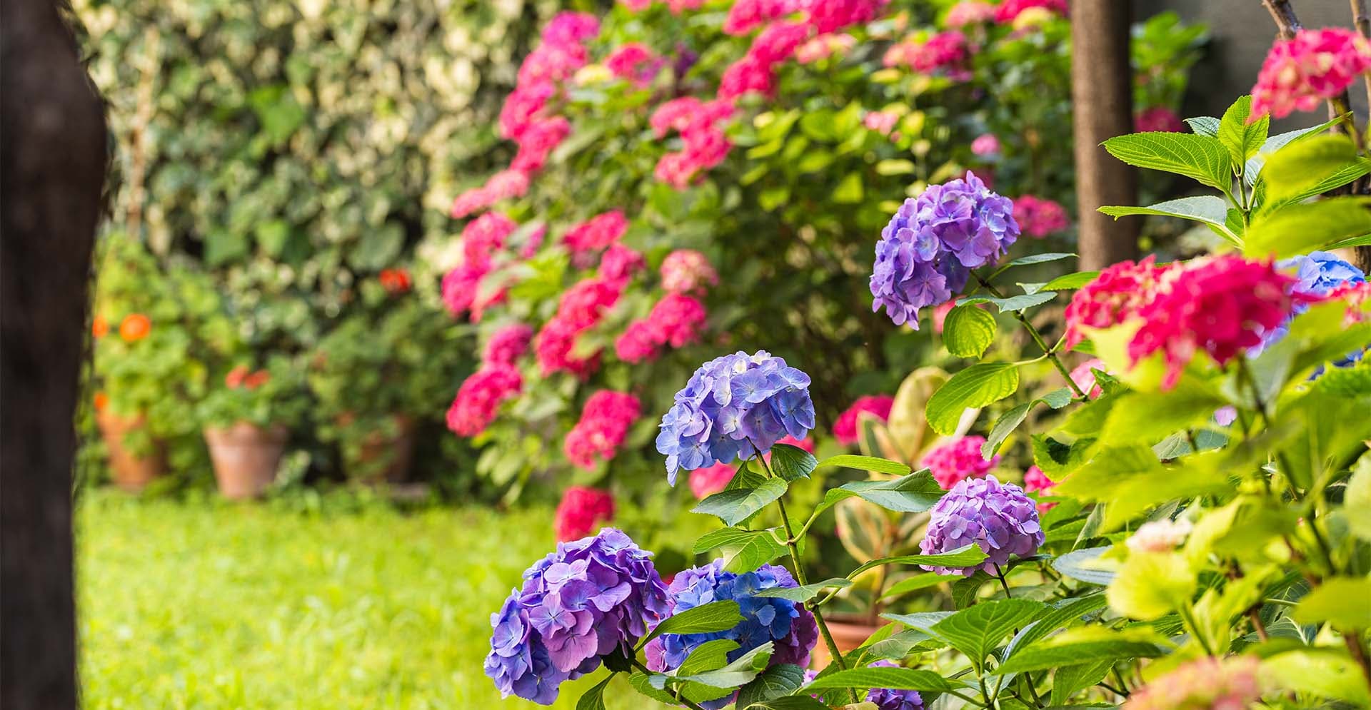 Rome Field & Research International – main gallery image