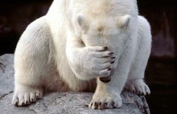 So-Embarrassed